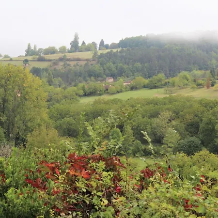 Holiday home Maison De Charme Pres De Belves Avec Cheminee, Terrasse, Animaux Admis - Fr-1-616-542