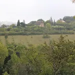 Holiday home Maison De Charme Pres De Belves Avec Cheminee, Terrasse, Animaux Admis - Fr-1-616-542 *